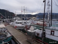 DSC00364