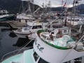 DSC00366