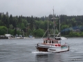 DSC00385