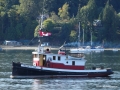 Nanaimo Tillicum
