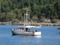 DSC00067