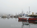 KO_C23921