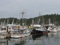 KO_C24091