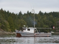 KO_C24356