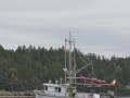 KO_C24363