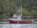 KO_C24425