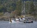 KO_C24509