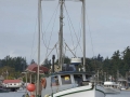 KO_C24534