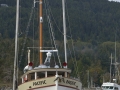 KO_C24639