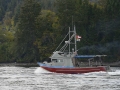 KO_C24877