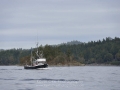 KO_C24921