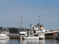 PaceSetter_0766