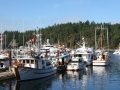 PaceSetter_0768