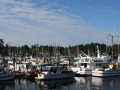 PaceSetter_0769
