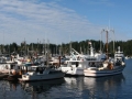 PaceSetter_0772
