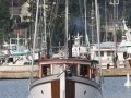 19 -By 'Northern Cross'
