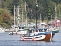 83 -By 'Northern Cross'