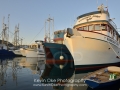 KO_B81880.JPG