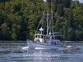 KO_B82259.JPG