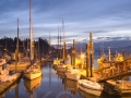 Westcoast Work Boat Association Rendezvous 2007