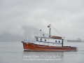 KO_B46878
