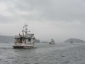 KO_C55873