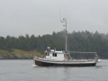 KO_C55949