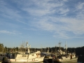 Westcoast Work Boat Association fall rendezvous, 2013