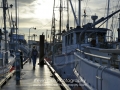 Westcoast Work Boat Association fall rendezvous, 2013