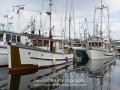 Westcoast Work Boat Association fall rendezvous, 2013