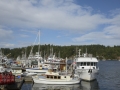 Westcoast Work Boat Association fall rendezvous, 2013