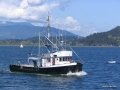 VIKING MARINER
